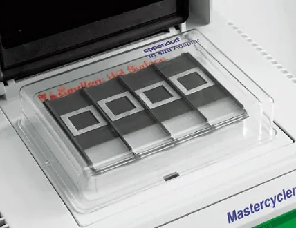Адаптер Eppendorf 5331220002