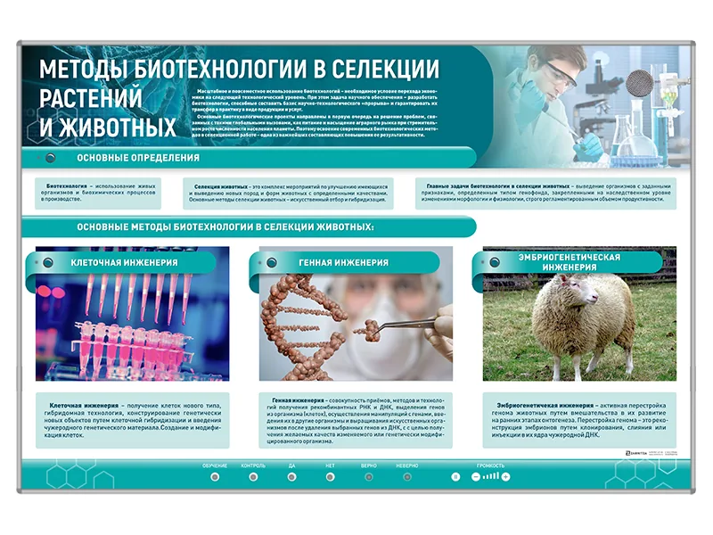 Стенд Зарница методы биотех. в селекции растений и животных