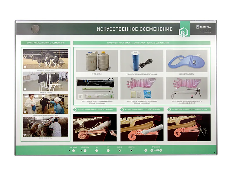 Стенд Зарница искусственное осеменение
